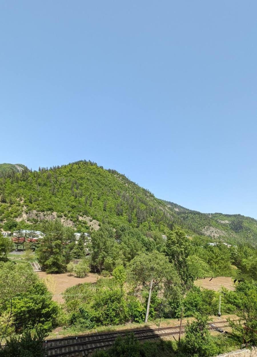 Gari'S Apartment Next To Borjomi Central Park Exterior foto